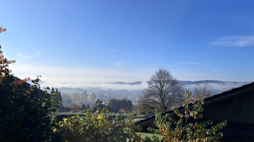 Blick auf eine neblige Landschaft mit Bäumen und Hügeln im Hintergrund, blauer Himmel.