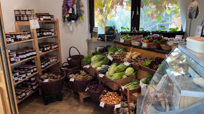 Ein gemütlicher Marktstand mit frischem Obst, Gemüse und Konserven in Körben.