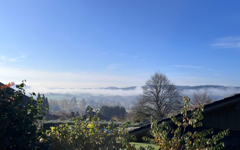 Blick auf eine neblige Landschaft unter klarem Himmel mit Bäumen im Vordergrund.