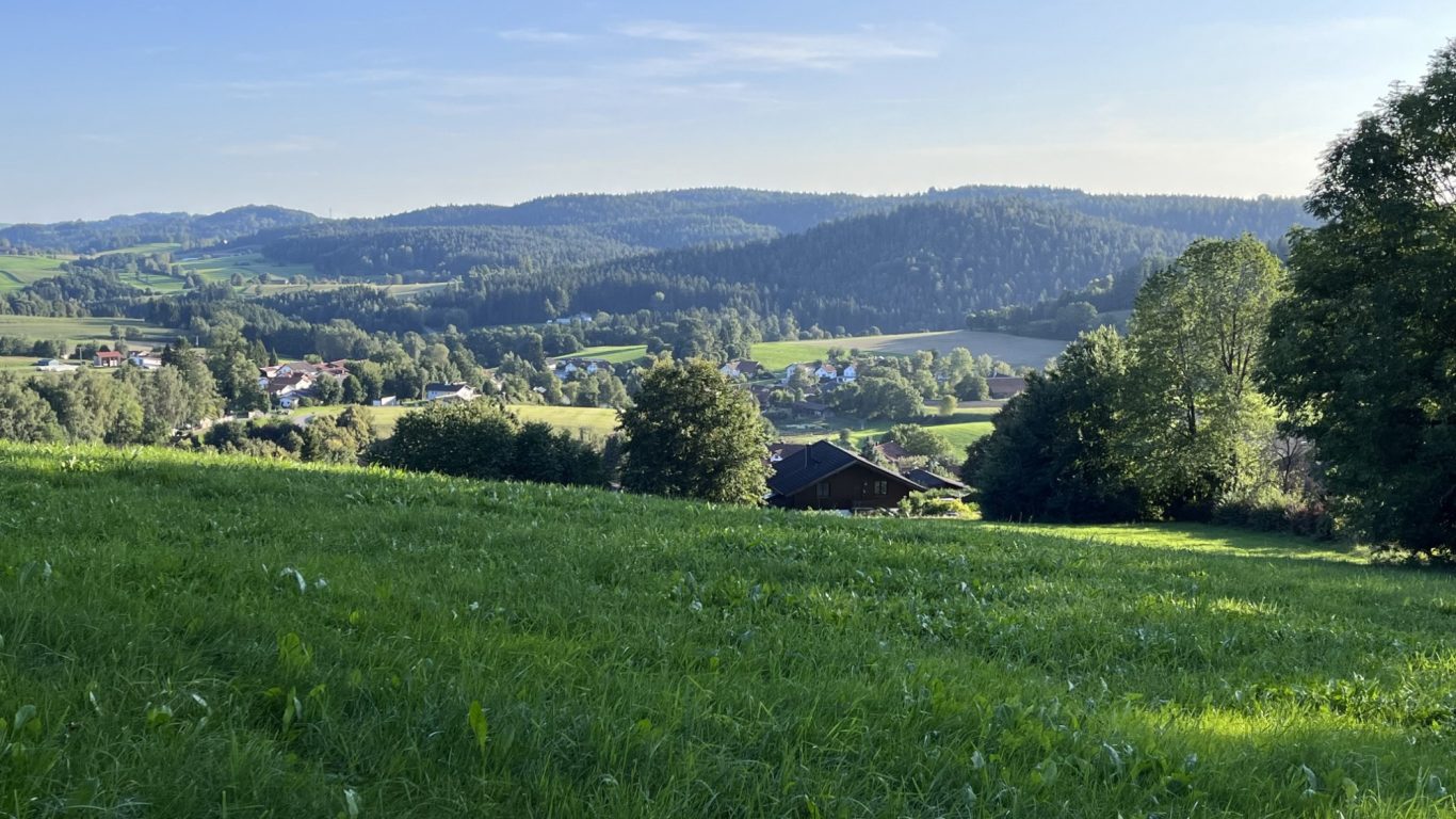 Blick auf eine grüne Landschaft mit Hügeln und Bäumen im Hintergrund.