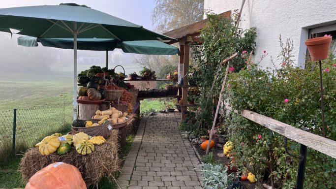 Ein Hofladen mit Kürbissen, Blumen und einem überdachten Bereich vor einem Wohnhaus.